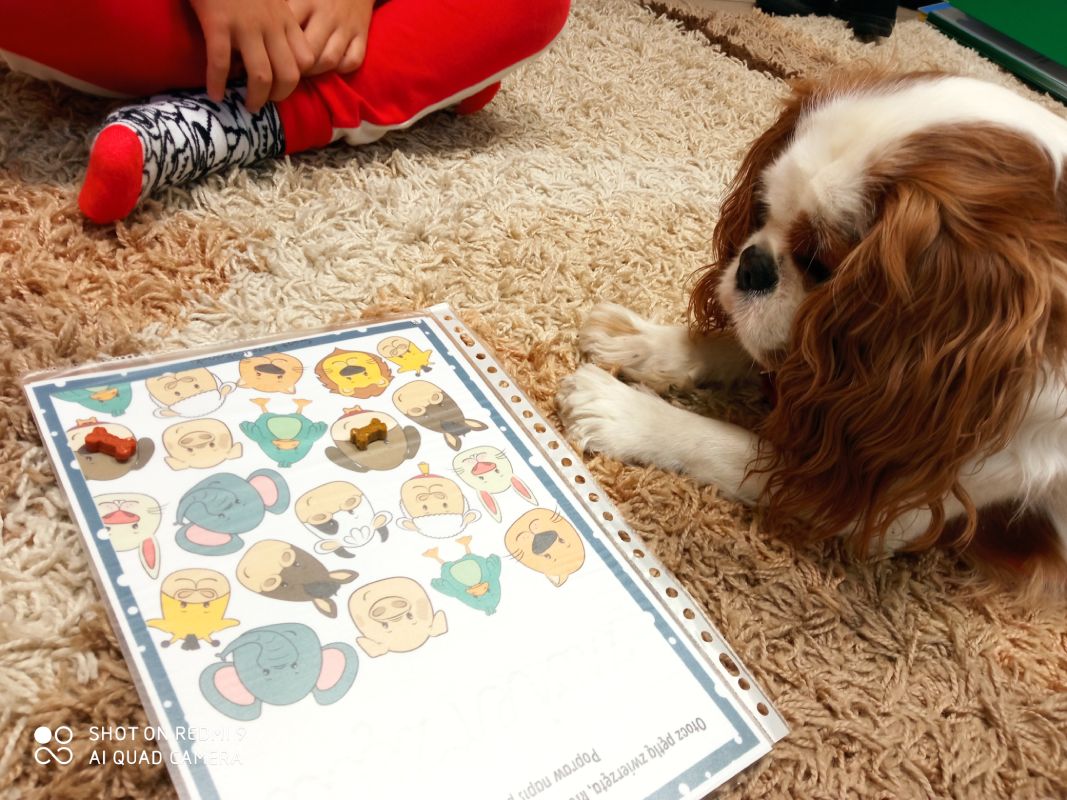 IMG 20220919 092246 pp4lask