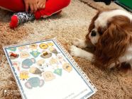 IMG_20220919_092246-pp4lask