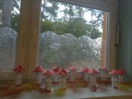 20221005_074646-pp4lask