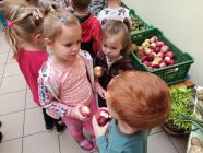 307438753_428720866028291_4770362305836767298_n-pp4lask