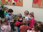 308091165_394531662843720_872048793610864804_n-pp4lask