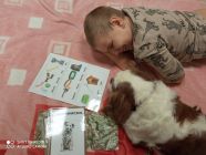 IMG_20221114_091422-pp4lask