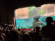 20230427_105800-pp4lask