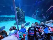 20230427_113222-pp4lask