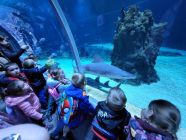 20230427_113226-pp4lask