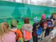 20230427_114051-pp4lask