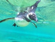 20230427_114221-pp4lask