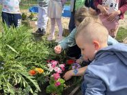 493217812_9694804033946318_762810542004943605_n-pp4lask