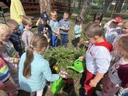 493677177_9694779813948740_4957152779609752263_n-pp4lask