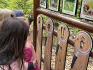 495028395_9801182089975178_4890094033832186412_n-pp4lask