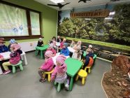 495320358_9801240096636044_8729265283349828540_n-pp4lask