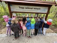 496066929_9801241319969255_3035549627184442743_n-pp4lask