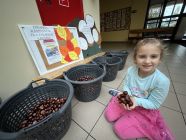 ZBIORKA_KASZTANOW__1-pp4lask