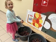 ZBIORKA_KASZTANOW__2-pp4lask